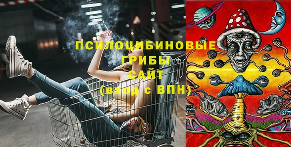 не бодяженный Зерноград