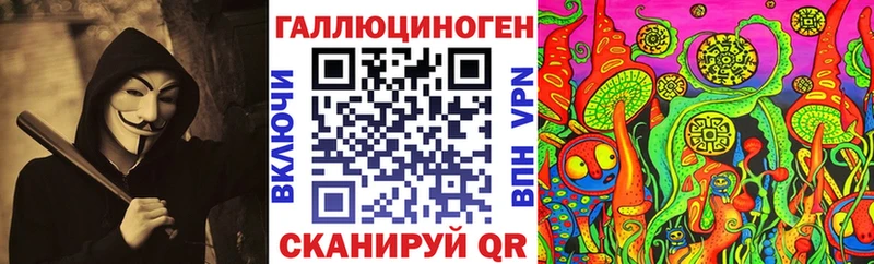 Купить Волхов Псилоцибиновые грибы Psilocybine cubensis